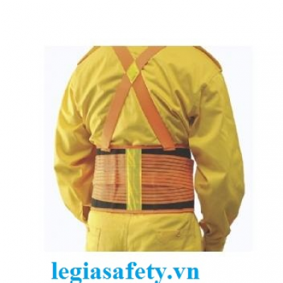 Đai Bảo Hộ Sống Lưng Proguard LSB